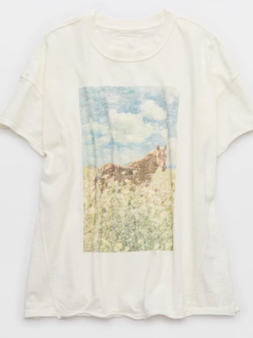 NWT Aerie Oversized Crew Boyfriend T-Shirt (M)
